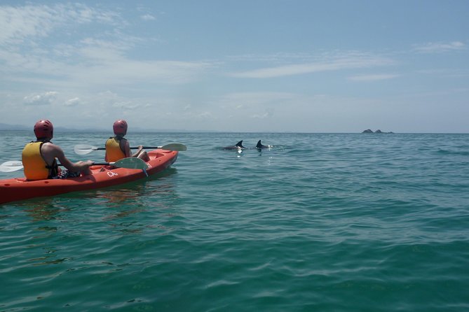 Kayaking with Dolphins