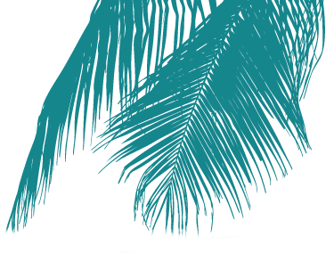 palms@33.33x